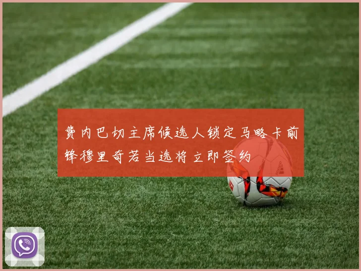 费内巴切主席候选人锁定马略卡前锋穆里奇若当选将立即签约
