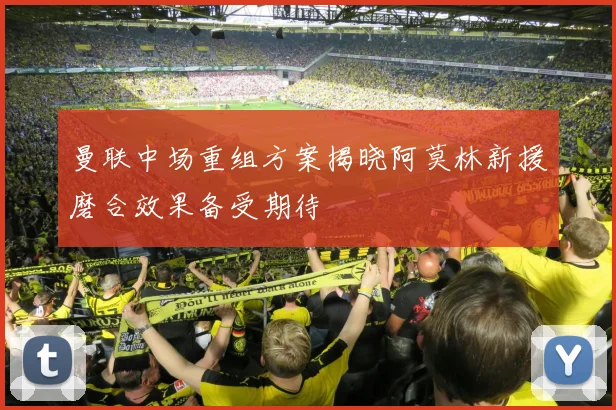曼联中场重组方案揭晓阿莫林新援磨合效果备受期待